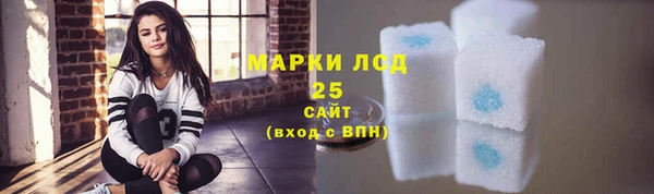 амф Липки