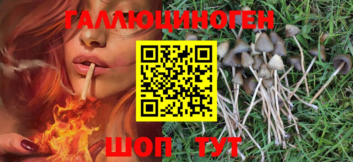 Alpha-PVP СОЛЬ кристаллы  МАРИХУАНА  Геленджик  Мефедрон кристаллы  Cocaine  Вход с VPN 
