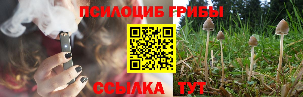 Геленджик  Галлюциногенные грибы MAGIC MUSHROOMS  Вход с VPN 